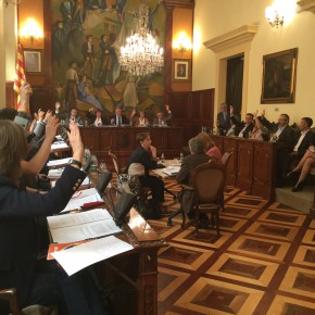 De nuevo, el PP presenta una moción sin sentido en la Diputación, esta vez, sobre conejos