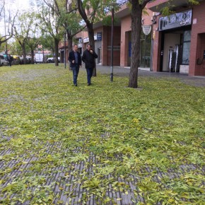 Ciutadans (C's) Lleida insta al equipo de gobierno a reforzar los trabajos de limpieza por la gran acumulación de hojas en las calles