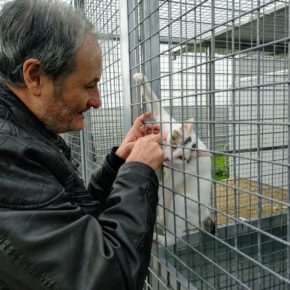 Daniel Rubio: "Adopta un gato, no lo compres"