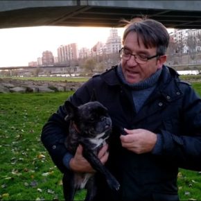 José María Córdoba: "Adopta un perro, no lo compres"