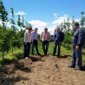 Ángeles Ribes: “A causa de la inacción del Govern de la Generalitat, los agricultores de la Horta siguen padeciendo daños en sus campos por la sobrepoblación de jabalíes”