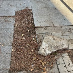 Ciutadans Lleida sol·licita que la Paeria repari les voreres trencades al barri de la Mariola